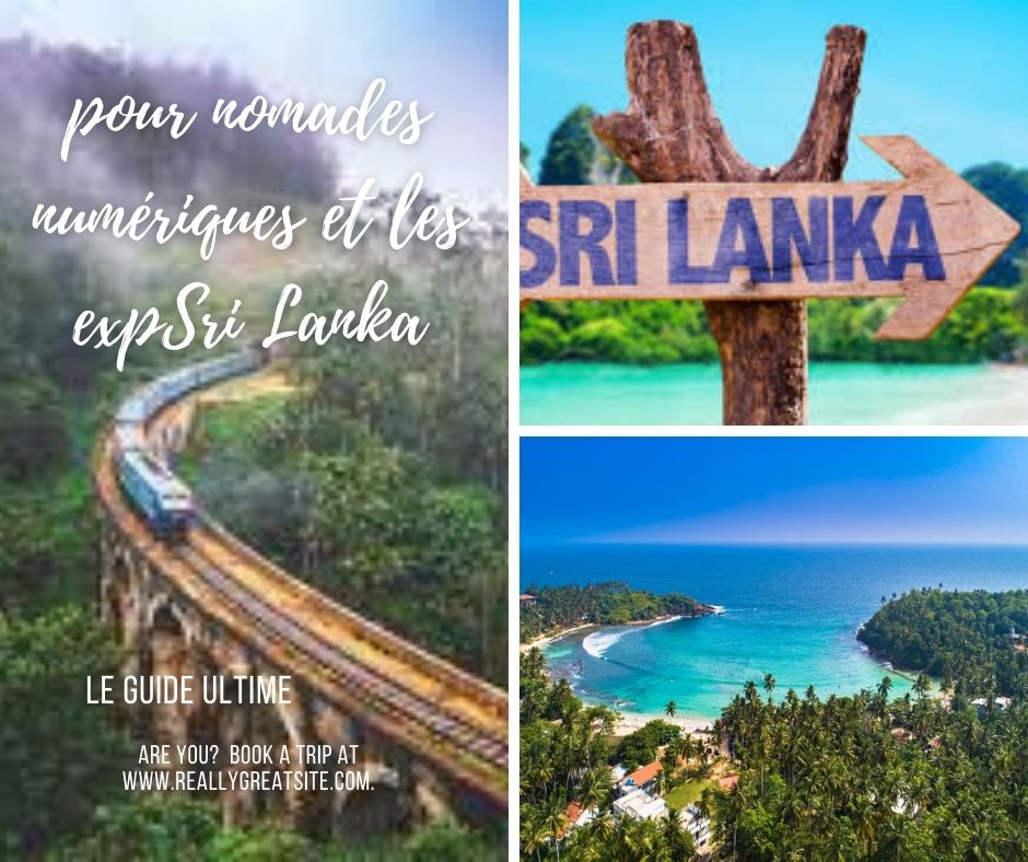 Le guide ultime pour les nomades numériques et les expatriés au Sri Lanka
